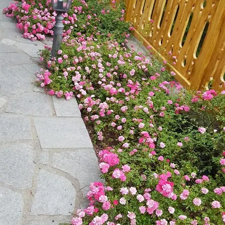 Apartamento Casa Degli Iris