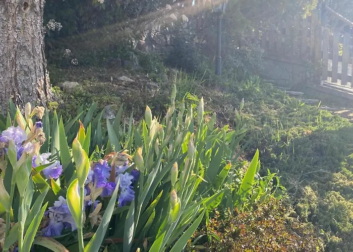 Appartamento Casa Degli Iris *