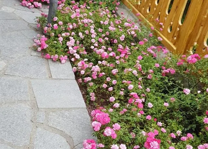 Appartamento Casa Degli Iris